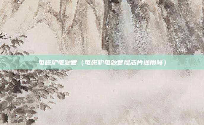 电磁炉电源管（电磁炉电源管理芯片通用吗）
