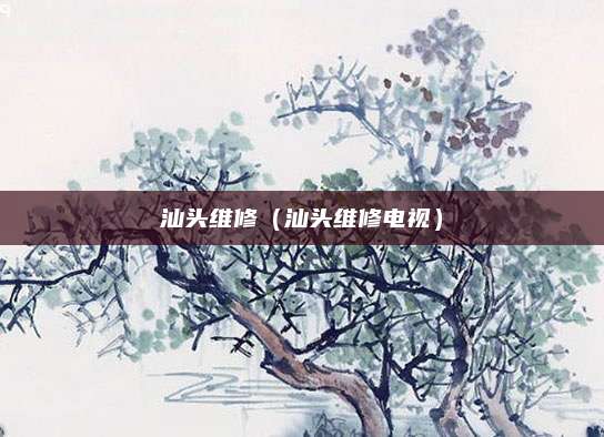 汕头维修（汕头维修电视）