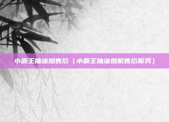 小霸王抽油烟售后（小霸王抽油烟机售后服务）