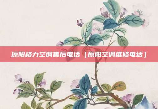 原阳格力空调售后电话（原阳空调维修电话）