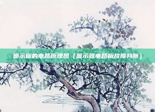 显示板的电路原理图（显示器电路板故障判断）