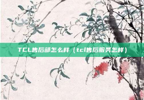 TCL售后部怎么样(tcl售后服务怎样)