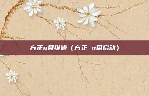 方正u盘维修（方正 u盘启动）