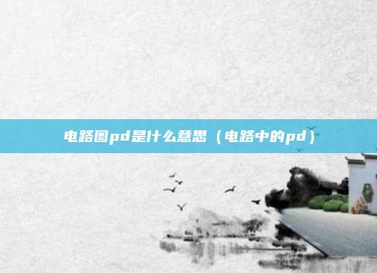 电路图pd是什么意思（电路中的pd）