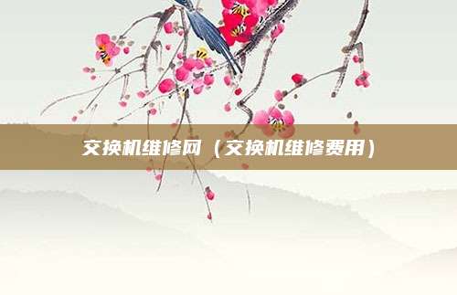 交换机维修网（交换机维修费用）