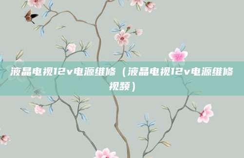 液晶电视12v电源维修（液晶电视12v电源维修视频）
