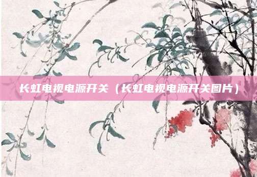 长虹电视电源开关（长虹电视电源开关图片）