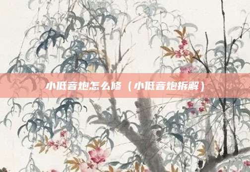 小低音炮怎么修（小低音炮拆解）
