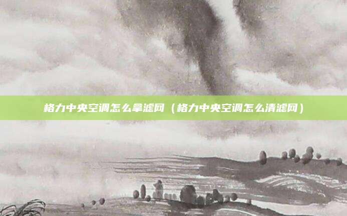 格力中央空调怎么拿滤网（格力中央空调怎么清滤网）