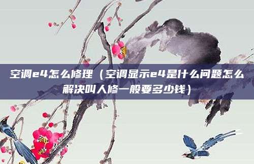 空调e4怎么修理（空调显示e4是什么问题怎么解决叫人修一般要多少钱）