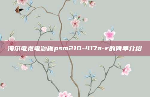 海尔电视电源板psm210-417a-r的简单介绍