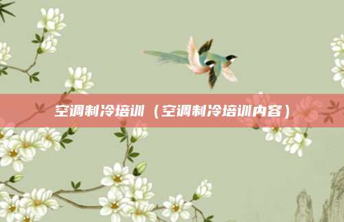 空调制冷培训（空调制冷培训内容）