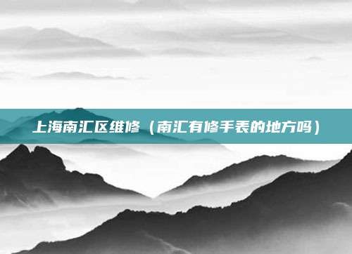 上海南汇区维修（南汇有修手表的地方吗）