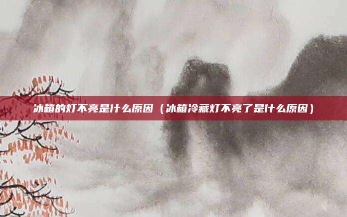 冰箱的灯不亮是什么原因（冰箱冷藏灯不亮了是什么原因）