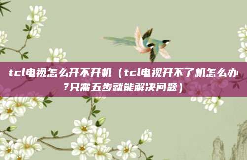 tcl电视怎么开不开机（tcl电视开不了机怎么办?只需五步就能解决问题）
