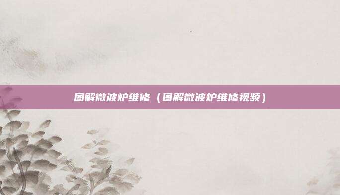 图解微波炉维修（图解微波炉维修视频）
