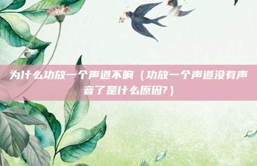 为什么功放一个声道不响（功放一个声道没有声音了是什么原因?）