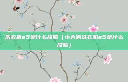 洗衣机e5是什么故障（小天鹅洗衣机e5是什么故障）