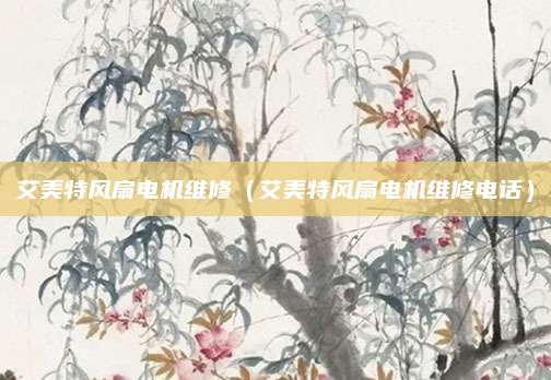 艾美特风扇电机维修（艾美特风扇电机维修电话）