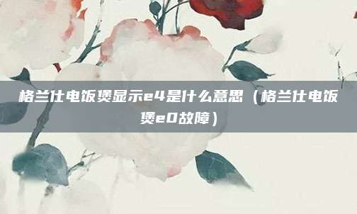 格兰仕电饭煲显示e4是什么意思（格兰仕电饭煲e0故障）