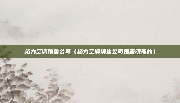 格力空调销售公司（格力空调销售公司是董明珠的）