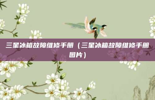 三星冰箱故障维修手册（三星冰箱故障维修手册图片）