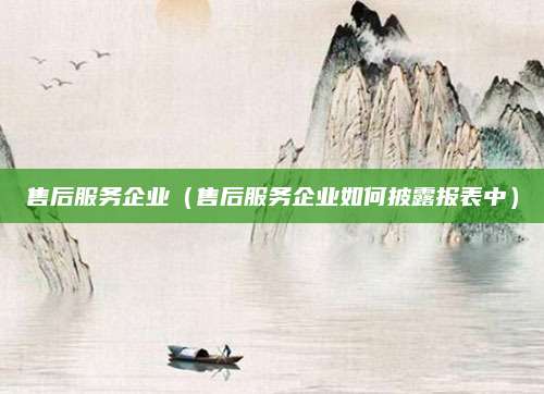 售后服务企业（售后服务企业如何披露报表中）