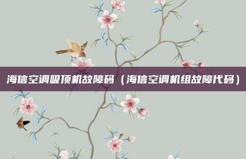 海信空调吸顶机故障码(海信空调机组故障代码)