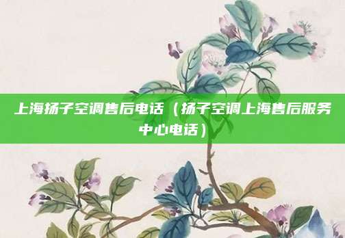 上海扬子空调售后电话（扬子空调上海售后服务中心电话）