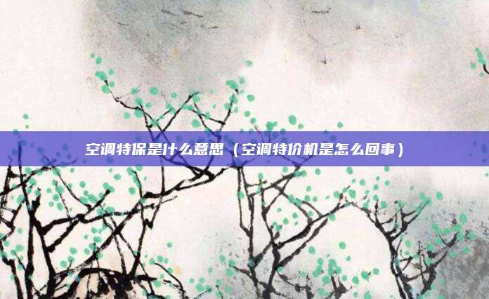 空调特保是什么意思(空调特价机是怎么回事)