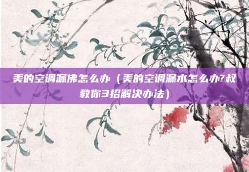 美的空调漏佛怎么办(美的空调漏水怎么办?叔教你3招解决办法)