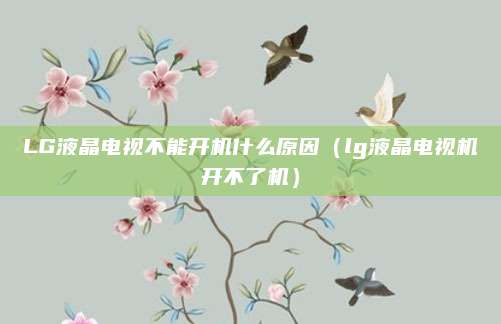 LG液晶电视不能开机什么原因(lg液晶电视机开不了机)