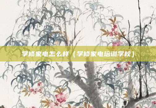学修家电怎么样(学修家电培训学校)