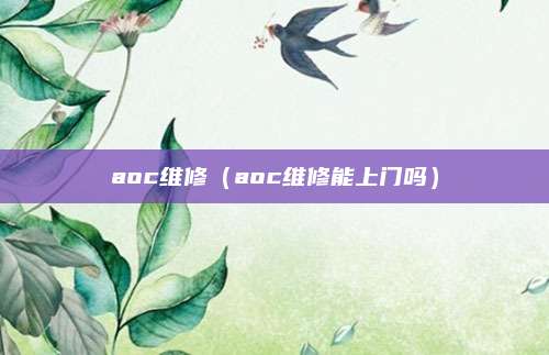 aoc维修（aoc维修能上门吗）