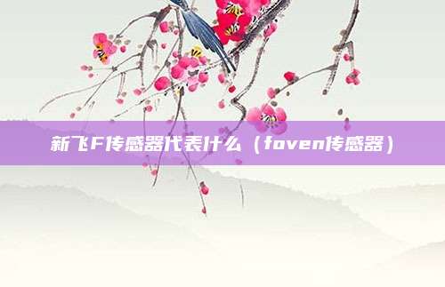 新飞F传感器代表什么(foven传感器)