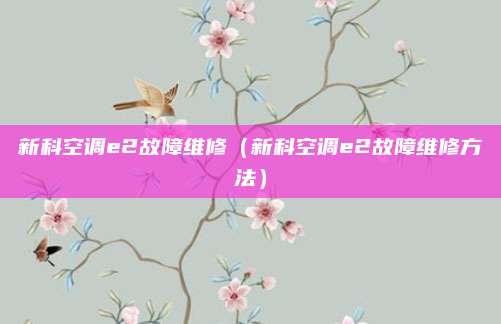 新科空调e2故障维修（新科空调e2故障维修方法）