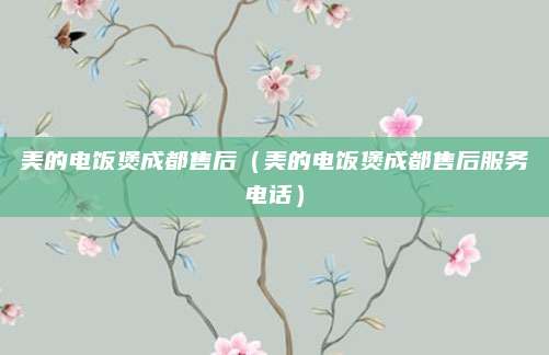 美的电饭煲成都售后(美的电饭煲成都售后服务电话)