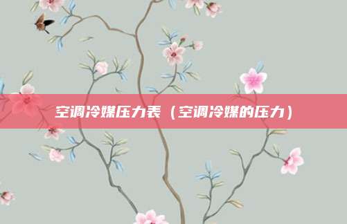 空调冷媒压力表（空调冷媒的压力）