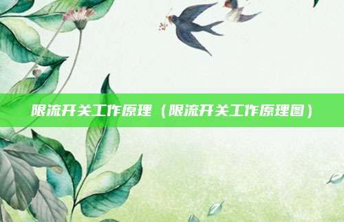 限流开关工作原理（限流开关工作原理图）