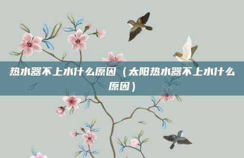 热水器不上水什么原因（太阳热水器不上水什么原因）