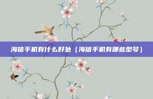 海信手机有什么好处（海信手机有哪些型号）