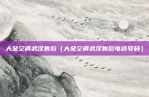 大金空调武汉售后（大金空调武汉售后电话号码）