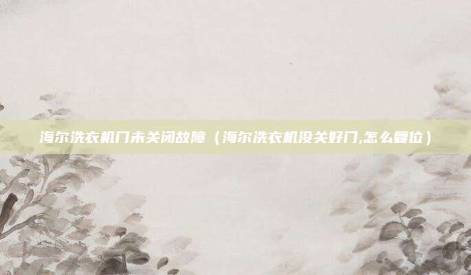 海尔洗衣机门未关闭故障（海尔洗衣机没关好门,怎么复位）