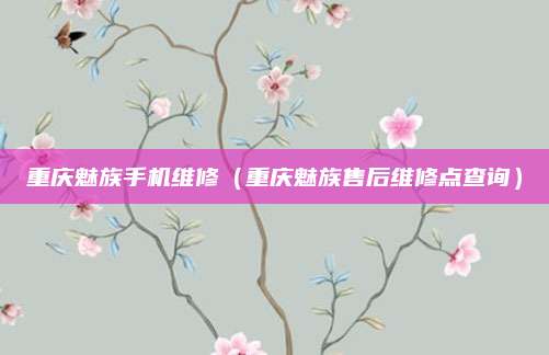 重庆魅族手机维修（重庆魅族售后维修点查询）