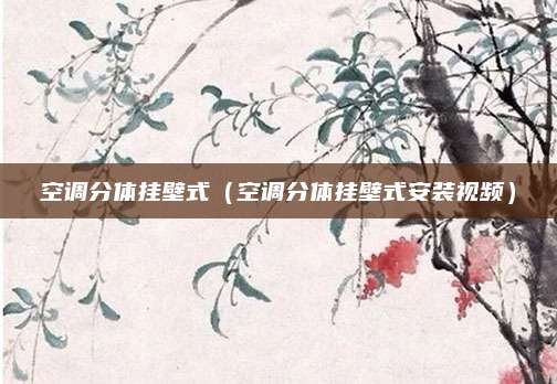 空调分体挂壁式（空调分体挂壁式安装视频）