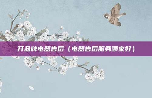 开品牌电器售后（电器售后服务哪家好）