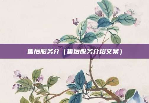 售后服务介（售后服务介绍文案）
