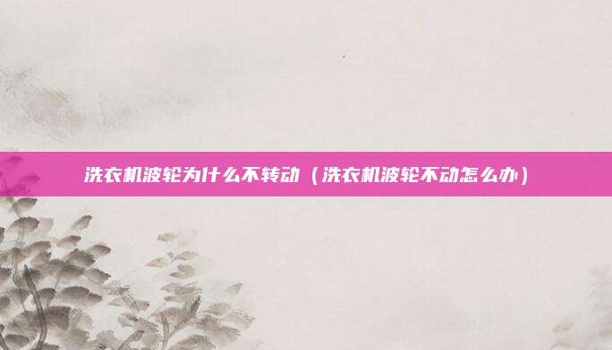 洗衣机波轮为什么不转动（洗衣机波轮不动怎么办）