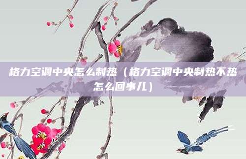 格力空调中央怎么制热（格力空调中央制热不热怎么回事儿）