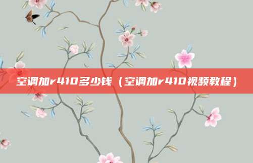 空调加r410多少钱（空调加r410视频教程）